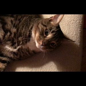 Meet your Posher, John m